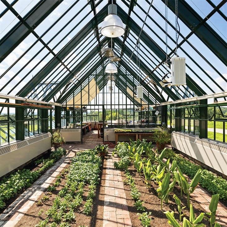 Backyard Sun Room